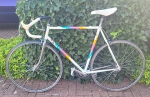 Moser Rennrad Vintage Rahmenhöhe 58 (gut für Körpergröße um die 183cm) - Bild 1 von 7