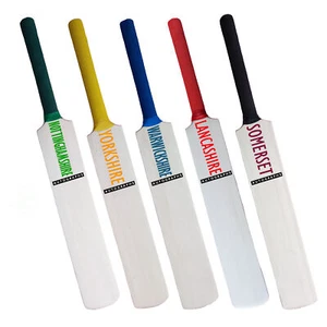 Miniature Cricket Bats All County Teams All Handle Colours 16.5 inch Autograph - Picture 1 of 30
