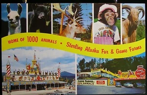 Lake Placid/Ausable Chasm N.Y - Visita a casa de 1000 animales - no publicado - Imagen 1 de 2