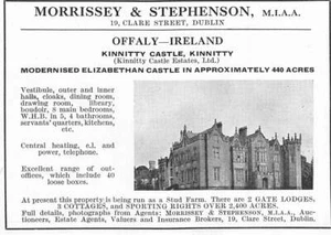1950 Kinnitty Castle County Offaly Ireland For Sale With 440 Acres 3 Cottages - Picture 1 of 1