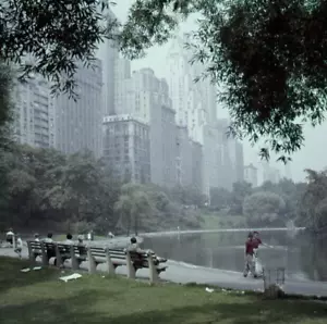 LC31-04 CENTRAL PARK VIEWS (6) Original 2,25" Film Transparencies NYC 1950er - Bild 1 von 6