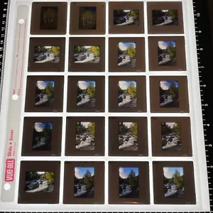 VTG 35mm Lot of 160 Low Quality Color Slides WA Pacific NW Landscape Arts Crafts - Picture 1 of 16
