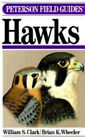 Field Guide To Hawks Hardcover Brian K., Clark, William S. Wheele
