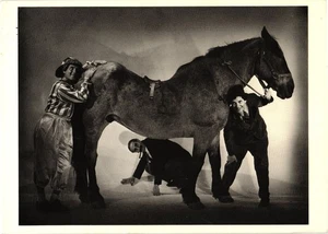 Cartolina Fratelli Marx un giorno alle corse 1937 Ted Allan bianco e nero vintage - Foto 1 di 2