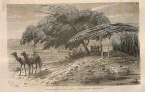 YEMEN / UN PUITS ARABE A SEDDÉ / GRAVURE ENGRAVING 1869 - Imagen 1 de 1