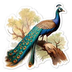Peacock, Vinyl Decal Sticker, Indoor Outdoor, 3 Sizes, #11023 - Picture 1 of 1