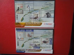 G5610  NETHERLANDS  2003  BIRDS   FAUNA  M/S SHEET PRESENTATIONS PACKS  MNH - Picture 1 of 1