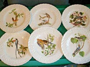 9" Set of 6 Plates Alfred Meakin England Birds of America Audubon Vintage - Picture 1 of 8
