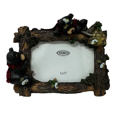 Marco de oso negro joven de colección para foto de 6x4 cabaña rústica colmena abejas Foto 1 de 4