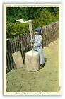 Postcard An Indian Woman Grinding Maize in Primitive Fashion, Great Smoky X21