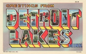 Postcard Large Letter Greetings from Detroit Lakes Minnesota MN - Picture 1 of 2