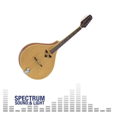 OZARK Ozark Flat B Octave Mandola New Celtic Model [2242] With Gigbag Instrument - Image 1 of 3