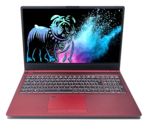 Schenker Slim 15-L19 Rot 15,6" Notebook FHD i5-10210U 16GB DDR4 500GB SSD Win11 - Bild 1 von 4