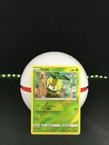 Petilil Reverse Holo 4/145 Sun & Moon: Guardians Rising Pack Fresh Pokemon - Picture 1 of 8