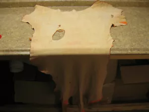 Buffed Top Grain Deer Leather # 00008829 Row 79 - Picture 1 of 6