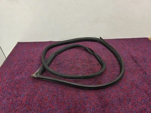 CHEVROLET CAMARO LS 16-24 OEM DRIVER LEFT DOOR BODY WEATHER STRIP SEAL MOLDING - Picture 1 of 8