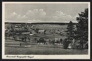 Zinnwald-Georgenfeld /Erzgeb., Panorama, Ansichtskarte - Bild 1 von 2