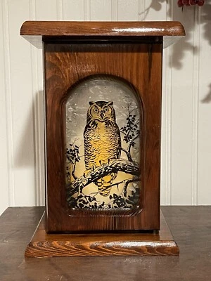 "Candelabro de pared vintage de madera de búho de los años 60-70 puerta de vidrio grabado 9,5""" Foto 1 de 4