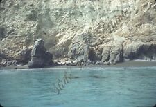 California Coast Beach Seals 1950s Slide 35mm Red Border Kodachrome Catalina
