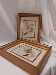 Two Vintage Hummingbird Framed Art Lithographs By John Gould Floral Botanicals - Picture 1 of 18