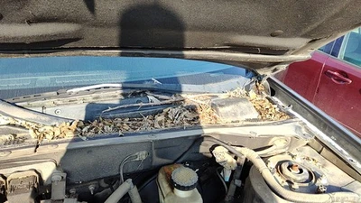 Mazda Tribute 2005 06 conductor brazo limpiaparabrisas izquierdo OEM hoja palanca Zzc067321 Foto 1 de 4