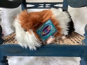WEBKINZ CINNAMON  GUINEA PIG HM813  - NEW WITH SEALED CODE-HARD TO FIND - Picture 1 of 5