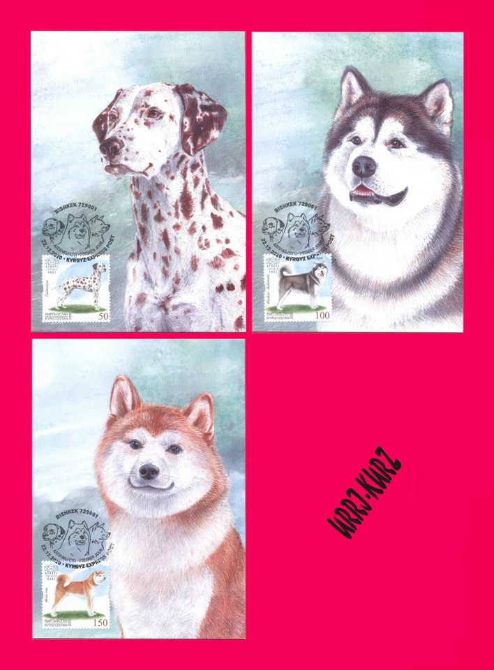 KYRGYZSTAN 2020 Nature Fauna Farm Domestic Animals Pets Dogs 3 Maximum Cards - Image 1 of 1