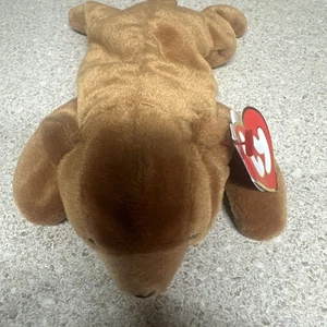 TY Beanie Baby - Alemán CUBBIE el Oso (Etiqueta 3ª Generación, 1er Colmillo - Ultra Raro - Imagen 1 de 8