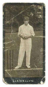 Smith's - 'Cricketers' (1912) - Llywelyn (Hampshire) - Picture 1 of 2