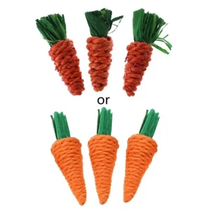 3PCS Durable Pet Teeth Grinding Chew Bite Toy for Chinchilla Rabbit Carrot Shape - Picture 1 of 8