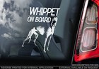 Whippet - Car Window Sticker - Greyhound Snap Dog on Board Sign Art Gift - TYP1