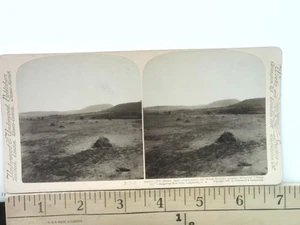 Surprise Hill Ladysmith Stereoview Sottobosco e Sottobosco n. 174 1901 - Foto 1 di 2