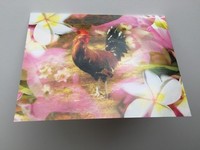 Glossy Greeting Card with envolope Flower Chicken Hawaii Kauai Free Shipping