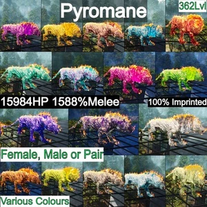 🦖Arca Sopravvivenza Ascesa Pve🔥 Piromane Piro 362Lvl 1588%dmg Stampato🔥 - Foto 1 di 69