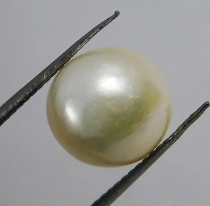 Pietra preziosa naturale sciolta coltivata perla rosata australiana 6 ct - Foto 1 di 2