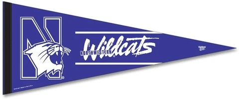 WinCraft NCAA Northwestern Wildcats Carded Classic Felt Pennant, 12" x 30 Cover