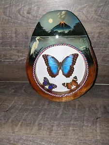 Real Butterfly Taxidermy Frame Picture Blue Orange VolcanoCosta Rica Painted Art - Picture 1 of 16