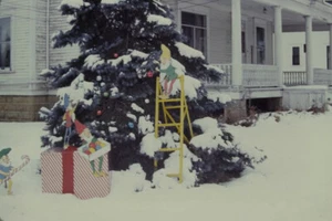 ELF'S DECORATING SNOWY TREE IN FRONT LAWN FOR CHRISTMAS 1963 PHOTO SLIDE - Picture 1 of 1