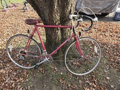 BICICLETA RALEIGH TECHNIUM 420 DE COLECCIÓN 23 pulgadas cuadro de aluminio Foto 1 de 4