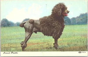 Retrato ilustrado en PC de perro caniche francés de principios de 1900 - Imagen 1 de 2