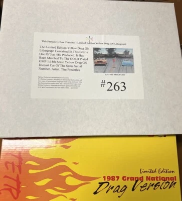 GMP 1:18 '87 BUICK GRAND NATIONAL DRAG VERSIÓN AMARILLO CON LITOGRAFÍA NUEVO #8104A Foto 1 de 4