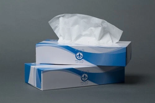 2-Ply Virgin Flat Box Facial Tissue 7.87"x8.26",4 boxes of 100 sheets/400 sheets - Image 1 of 1