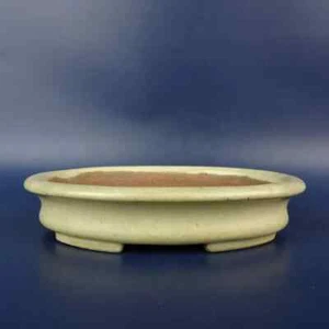 Olla Bonsai Japonesa Firmada SHIBAKATSU Ovalada Esmaltada Blanca 4.7 pulgadas (12 cm) - Imagen 1 de 6