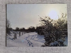 Motivfoto, Bilder - Bild 1 von 1