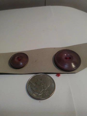 2 Antique/Victorian Celluloid Buttons Mauve Color 2 Hole M BG 8 Cover