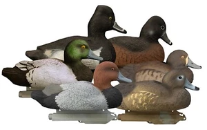 Higdon 6-Pack Standard Divers, Bluebill/Redhead/Ringneck Duck Decoys #19994 - Picture 1 of 2