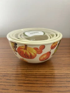 5er Set Melamin Prep Stapelschalen Messbecher Obst Design Sanibel Home - Bild 1 von 5