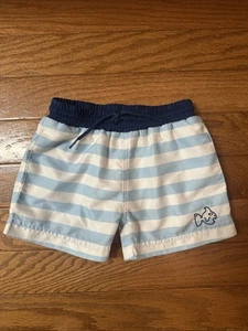 Prodoh Boys Blue Stripe Boogie Board Swim Trunks Size 4T - Picture 1 of 8