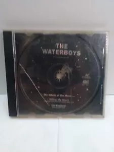 The Waterboys - The Whole of The Moon (CD, Single, 1991) Promo - Picture 1 of 24