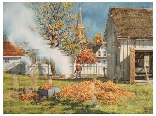 CHARLES PETERSON "Burning Leaves" 26"x19,5" FIRMADO Y NUMERADO impresión Foto 1 de 1